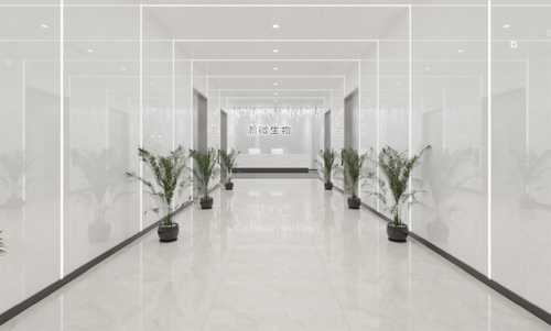 公司环境