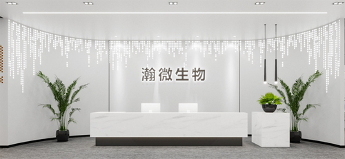 公司环境